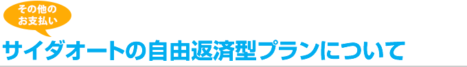 サイダオートの自由返済型プランについて